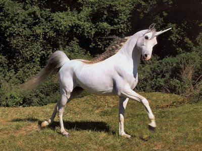 http://www.webidev.com/SitesFiles/licornus/licorne.jpg